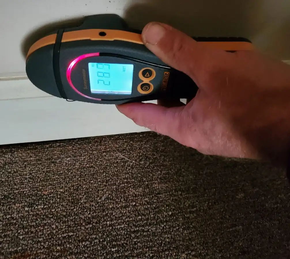 Moisture detection at baseboard during Burst Pipe Cleanup in Harrison
